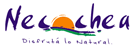 Logo Necochea
